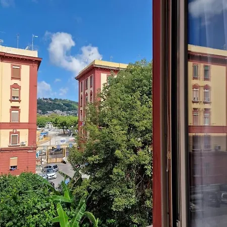 Luminhouse Konukevi 3*